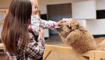 &laquo;Альпака Парк&raquo; дарит бесплатный вход детям на весенние каникулы